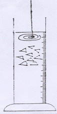 img18495855