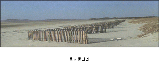 img21725740
