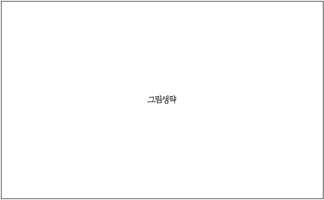 3번째 이미지