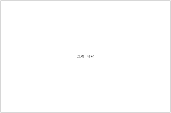 2번째 이미지