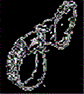 img145882835
