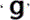 img149986537