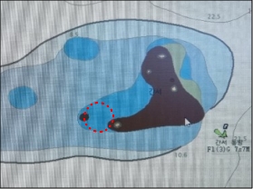 9번째 이미지