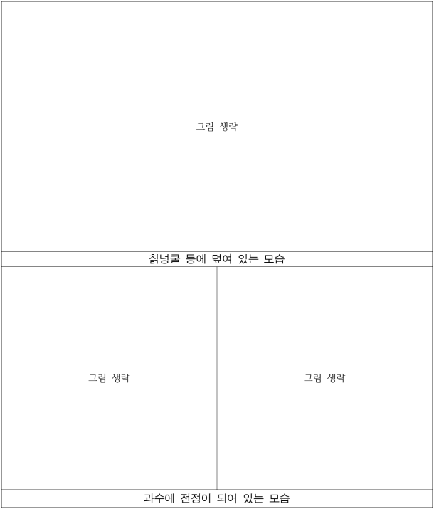 5번째 이미지