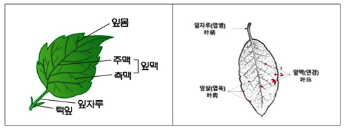 img170529459